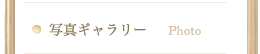 写真ギャラリー